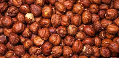 a cluster of hazelnuts: an example of sources of protein