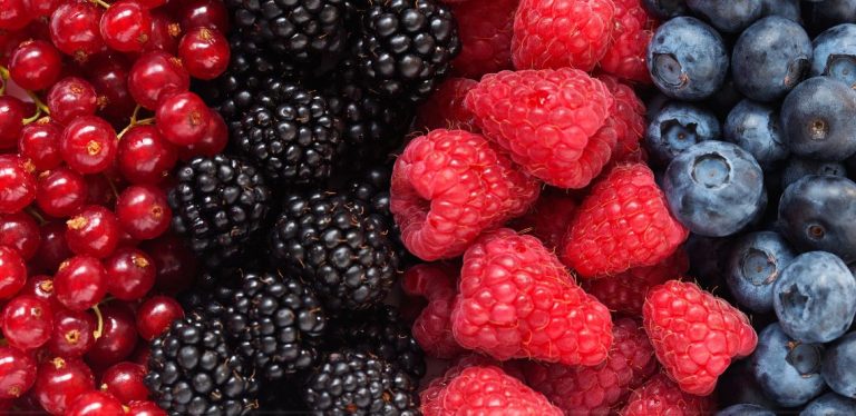 Blackberries, raspberries and blueberries laid out in lines.